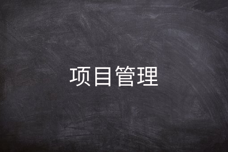 项目管理